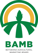 BAMB BAMB