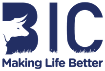Botswana Insurance Company Botswana Insurance Company