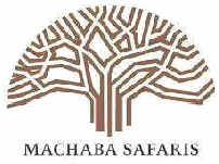 Machaba Safaris Machaba Safaris